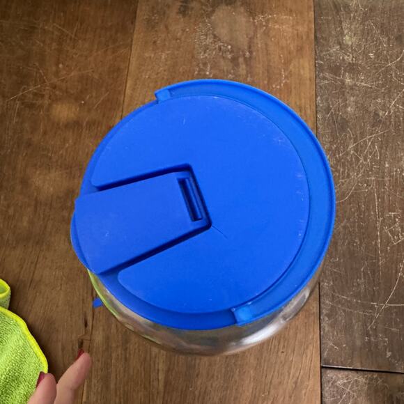 Vintage GALLON Blue Pink‎ Birdhouse Design Glass Drink Dispenser - Picture 3 of 11